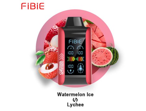 E papieros  FIBIE DUAL FLAVORS na 15000 puffs z podwójnym smakiem WATERMELON ICE-LYCHEE 2 IN 1